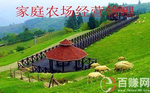 現(xiàn)在經(jīng)營農(nóng)場賺錢嗎?經(jīng)營農(nóng)場的出路在哪? 第2張 現(xiàn)在經(jīng)營農(nóng)場賺錢嗎?經(jīng)營農(nóng)場的出路在哪? 第2張