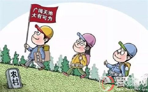 八個適宜在農(nóng)村創(chuàng)業(yè)致富的項目!趕緊來看看! 第1張