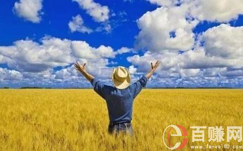 八個(gè)適宜在農(nóng)村創(chuàng)業(yè)致富的項(xiàng)目!趕緊收藏! 第1張 八個(gè)適宜在農(nóng)村創(chuàng)業(yè)致富的項(xiàng)目!趕緊收藏! 第1張